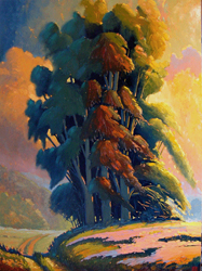A Gathering of Eucalyptus