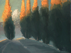 Glowing Cypress
