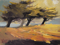 Oil Sketch
