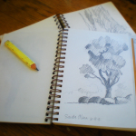 Sketchbooks