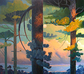 Evening Pines