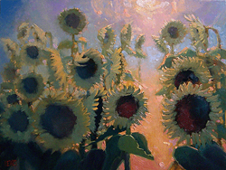Sunflower Stand