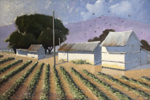 "Boarded-up Out-buildings on a Farm", 24"x16" oil on canvas. Catalog #1012 "Boarded-up Out-buildings on a Farm"