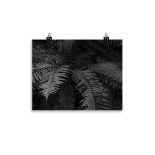 Photo paper poster - Image 4
