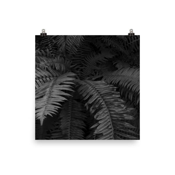 Photo paper poster - Image 5