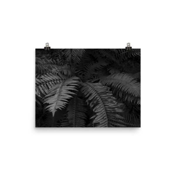 Photo paper poster - Image 6