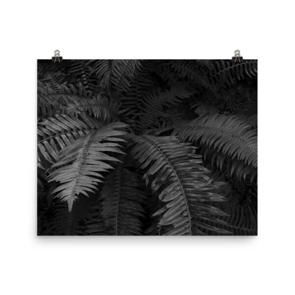 Photo paper poster - Image 10