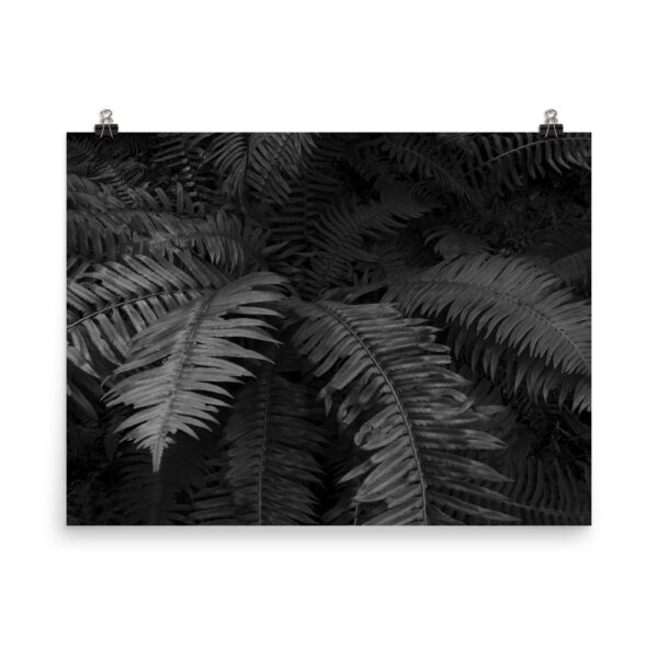Photo paper poster - Image 12