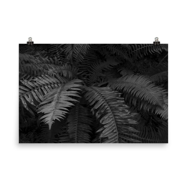 Photo paper poster - Image 13