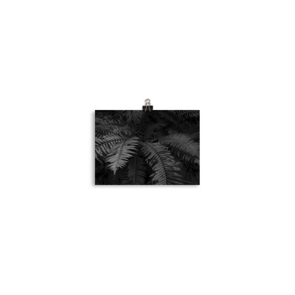 Photo paper poster - Image 2