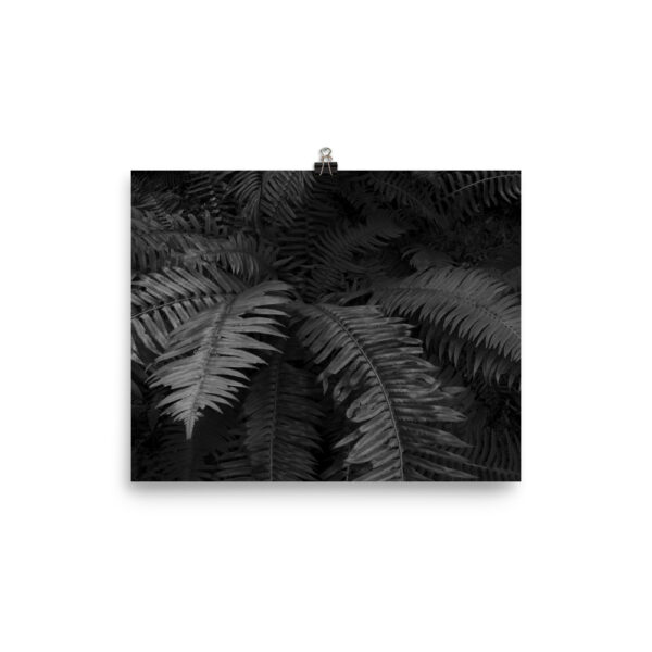 Photo paper poster - Image 14